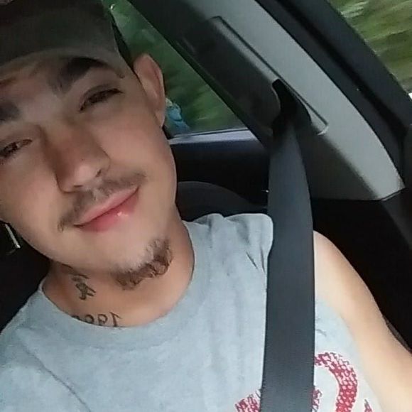 Meet your Posher, Joey - Picture 1 of 1